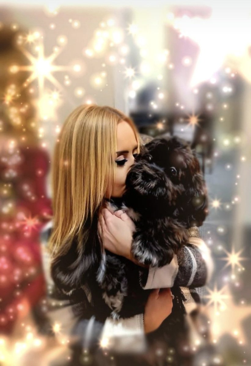 Sami12p's tweet photo. I can't help but reflect today that I walked into 2025 with My Little Teddy Bear, but will leave 2025 without him. I Miss My Little Soul Mate!
So to those missing a loved one going into 2026,whether that's Fur Family,Family or Friends,I wish you beautiful memories, love &amp; hugs ❤️ https://t.co/1g6Nm3PuEG