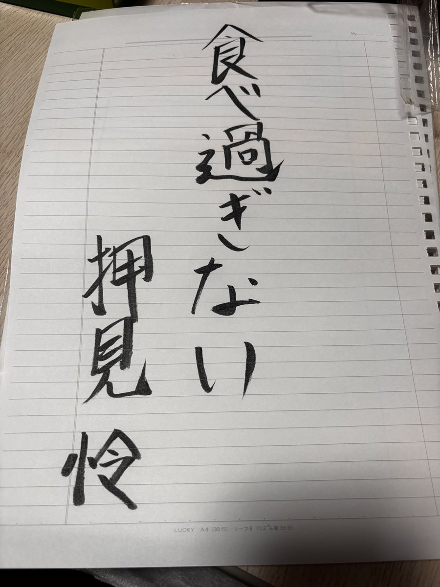ちゃんと書き初めしちゃうんだから