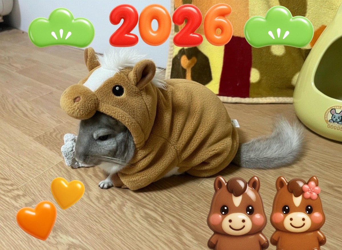 hachine🐭💚 (@hachihachi8282) / Posts / X