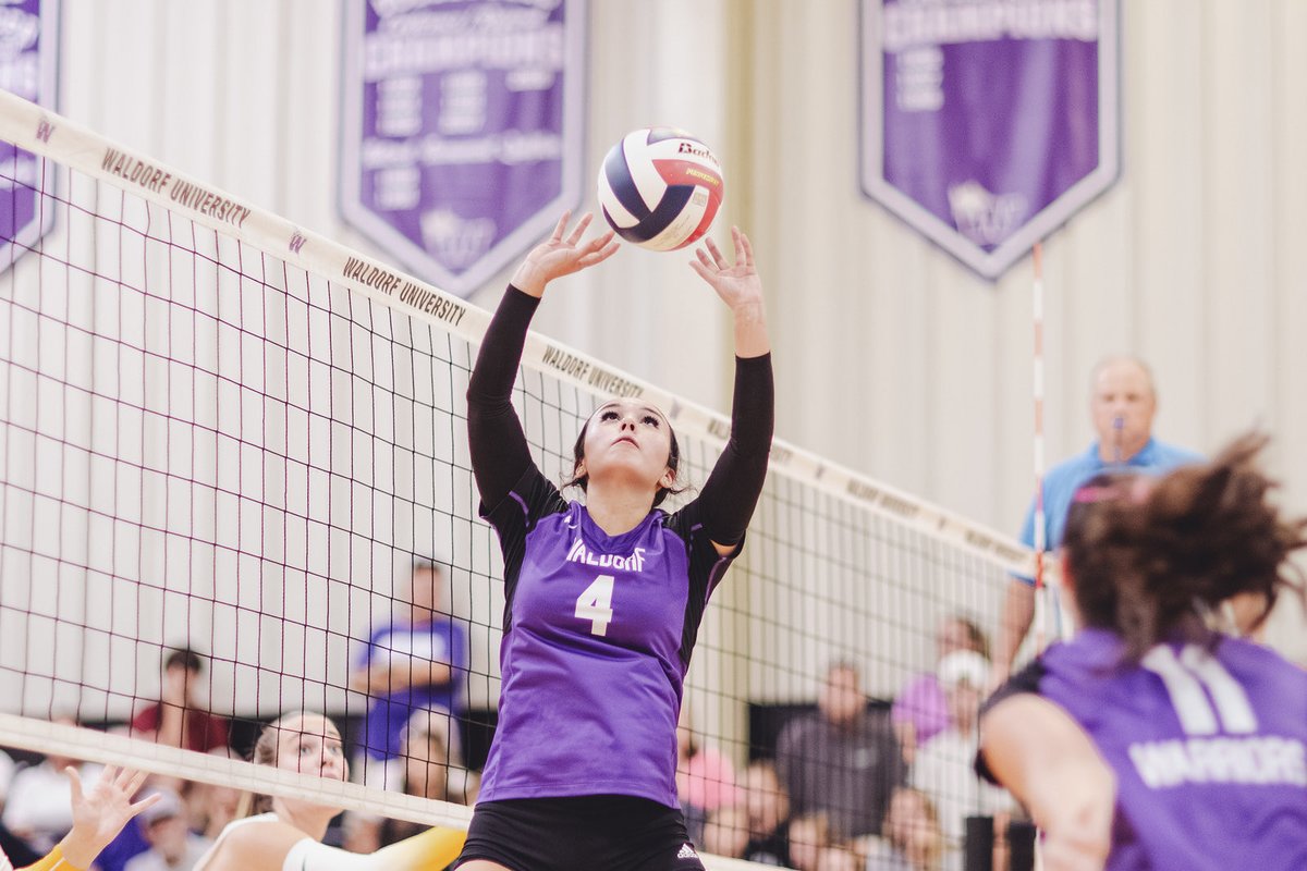 Waldorf Volleyball tweet media