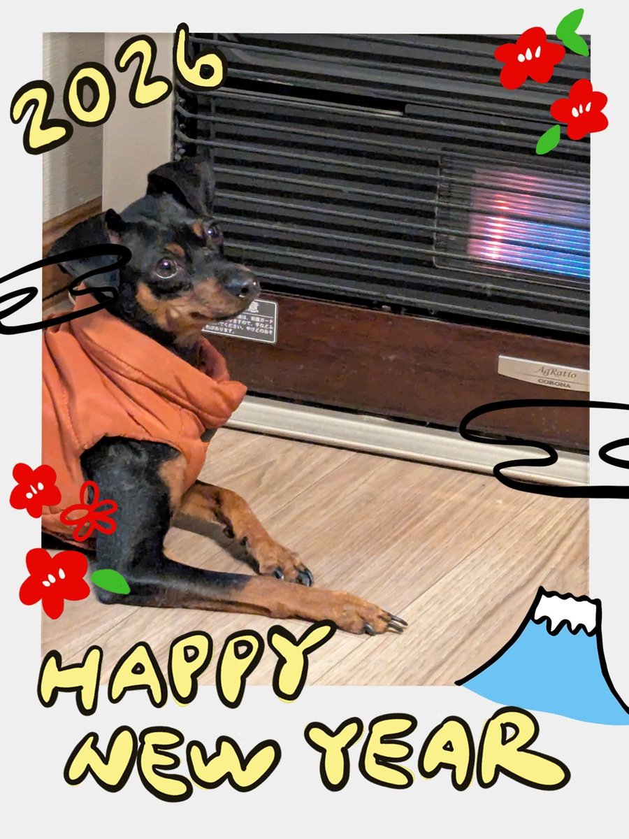 Happy New Year🎉🎉🎉