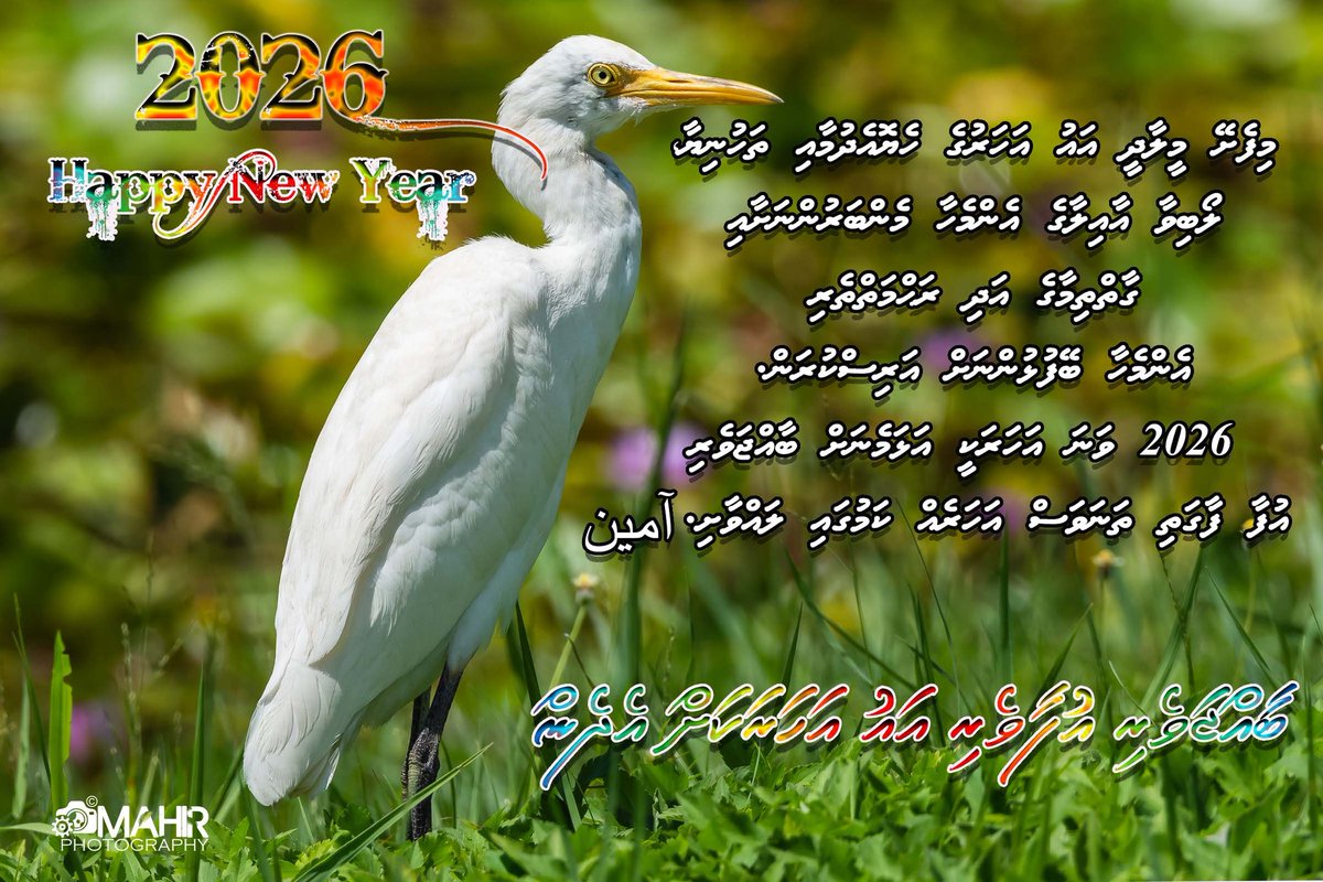 Mahir (@dheebu) on Twitter photo 