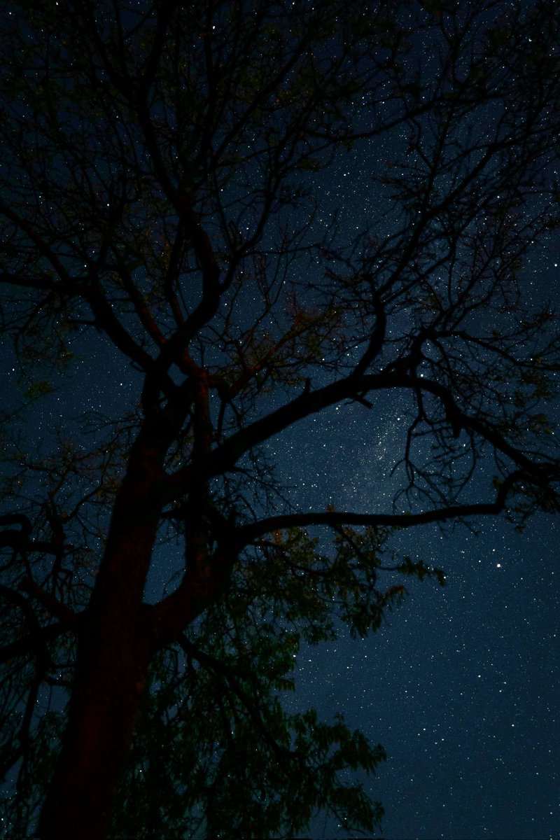 NightSkyToday's tweet image. Stars