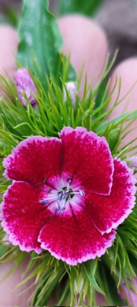 ziya tunç tweet media