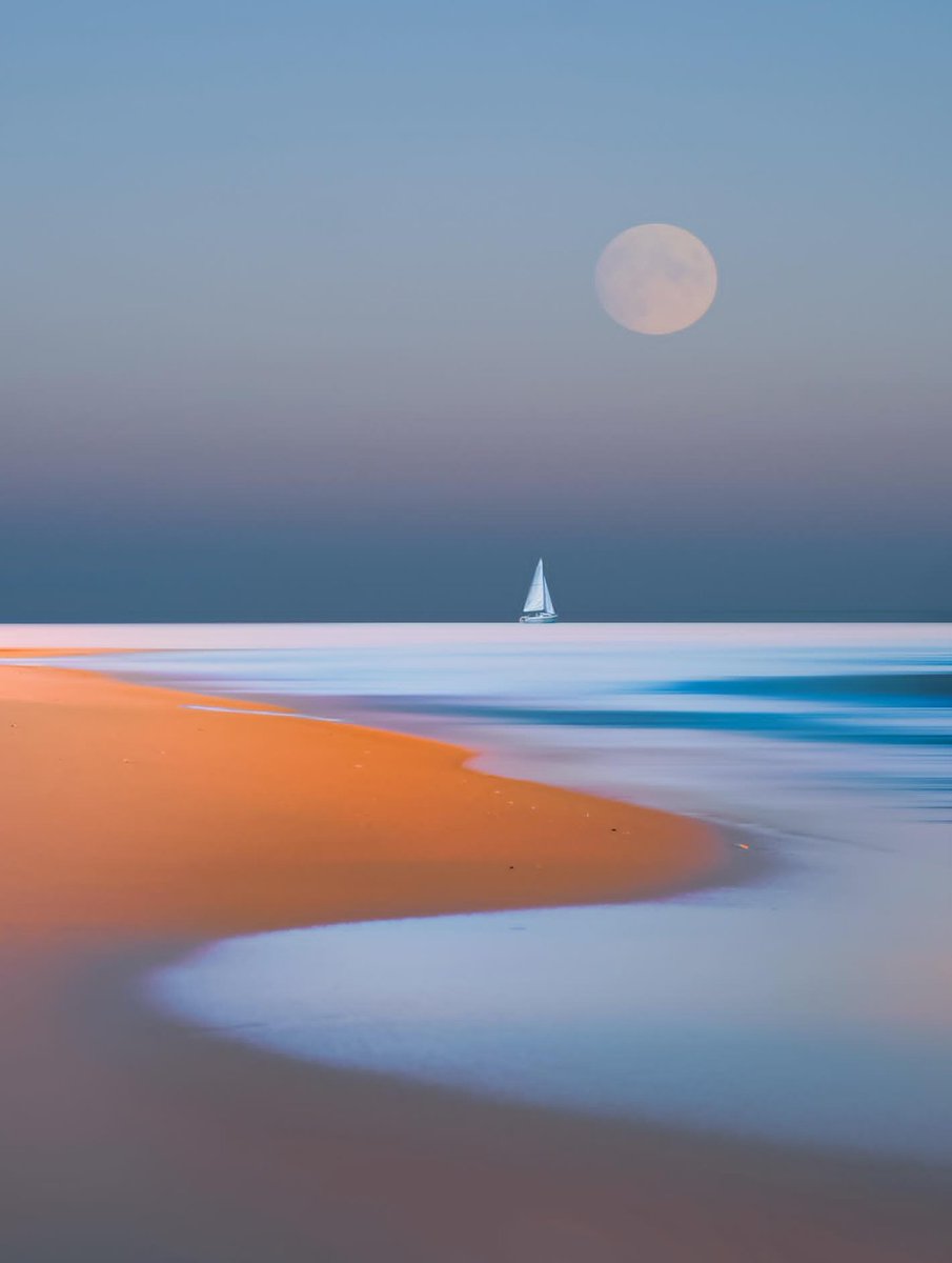 Spencer_Morgan_'s tweet image. by Laetitia Freling