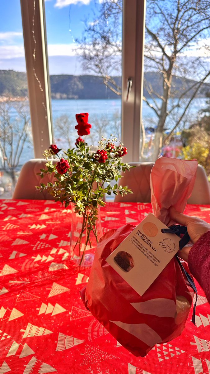 İlk defa eve kokina ve panettone aldim😌 Birazdan su koltuga serilip kahve&amp;panettone keyfi yapacagim. Normalde yeni yili evde karsilamayi severim ama bir yere davetliyiz. Her seyin sira disi oldugu bir sene geliyor gibi🥰💫 
Guzel surprizlerle dolu bir yıl olsun hepimiz icin🙏🍀