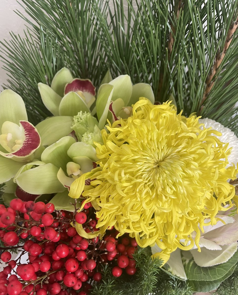 あけましておめでとうございます🎍
明るく楽しい一年になりますように！