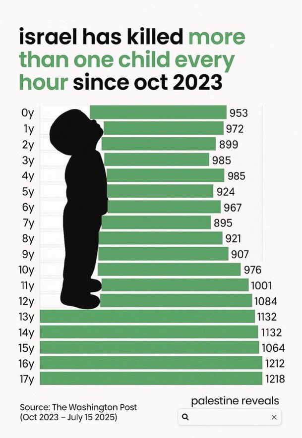 Israel to The Hague tweet media
