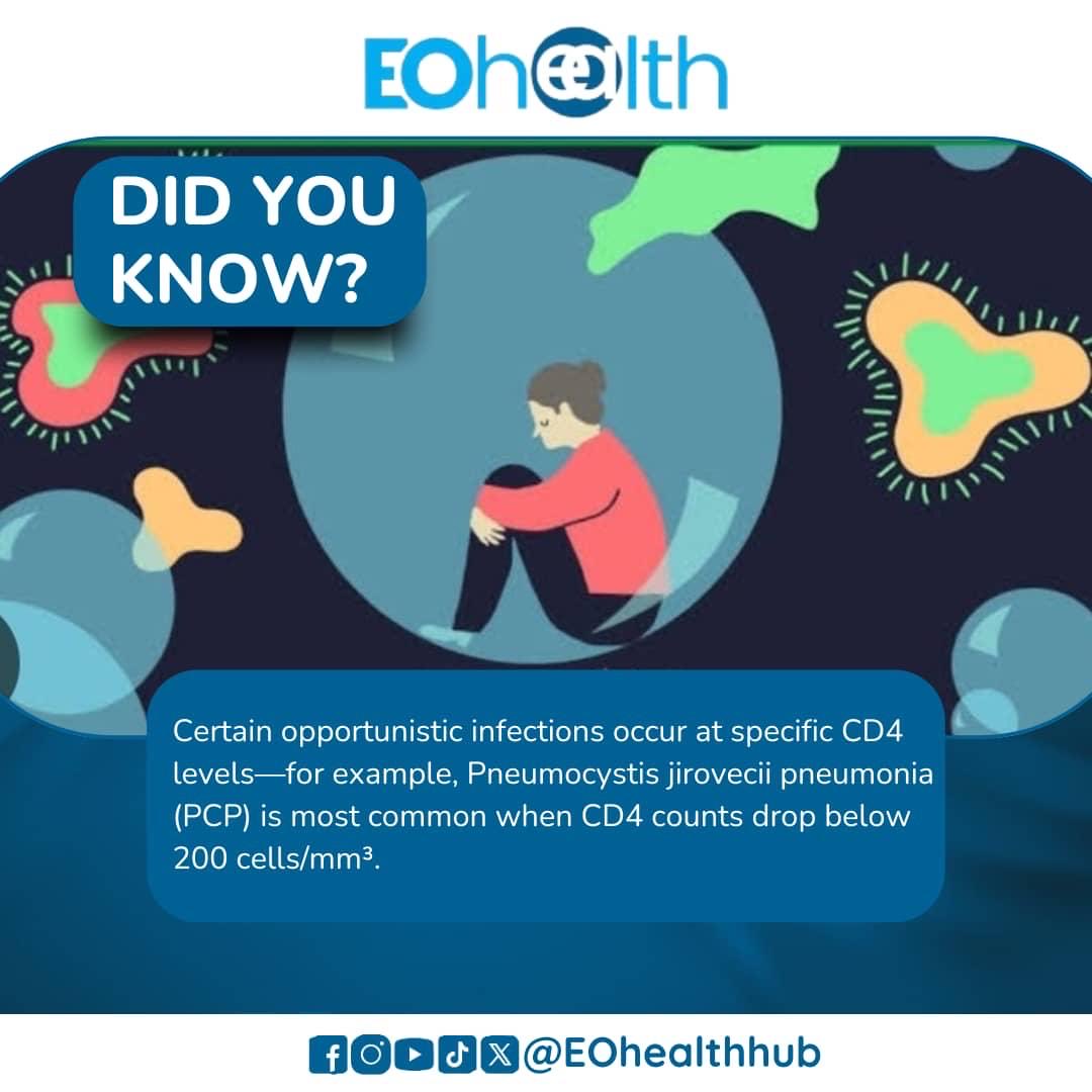 eohealthhub's tweet photo. Did you know?
Opportunistic infections are linked to weakened immunity in people living with HIV. Early signs like oral candidiasis and serious conditions like TB highlight why early testing and treatment matter.
Stay informed. Save lives. π
#EOhealth #HIVAwareness https://t.co/tvcih2bgc4