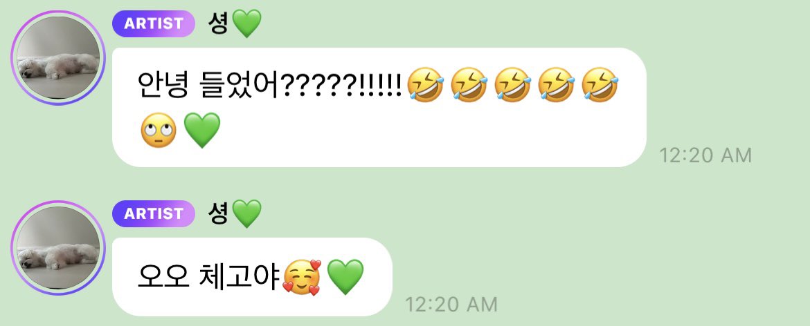 DC 조이갤러리 tweet media