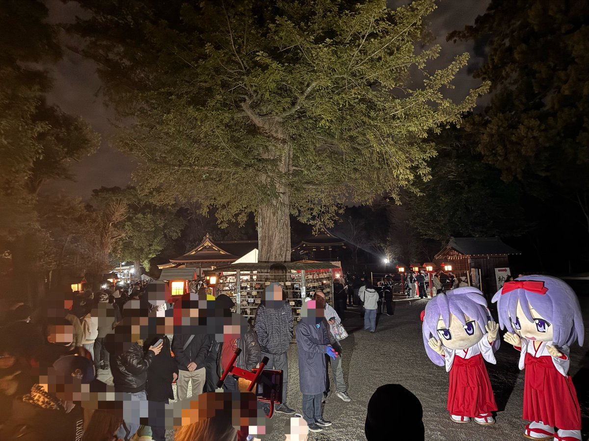 bluetwintail's tweet photo. 令和8年(2025年)元旦🎍
あけましておめでとうございます⛩
鷲宮神社ではかがみんとつかちゃんがアニメ通りコミケの夜にお迎えしてくれました！ #らきすた https://t.co/3lnzwAdTyD