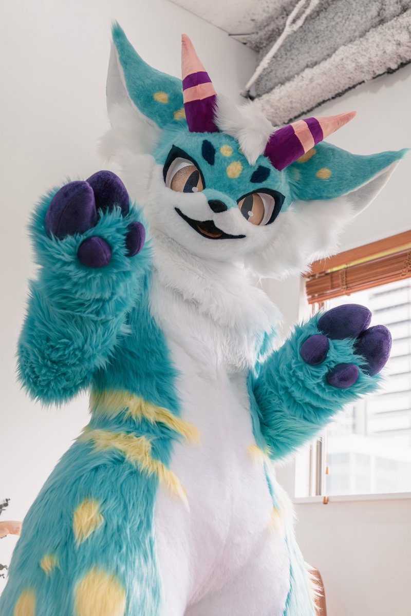 しゃけ🔜関けもC-38 tweet media