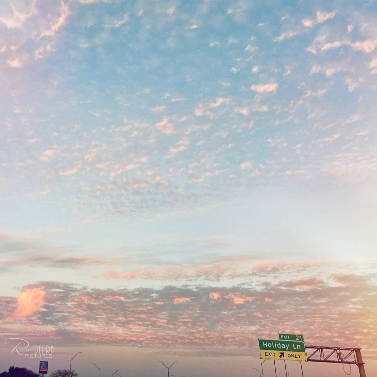 Rachel DeLira Pictures tweet media