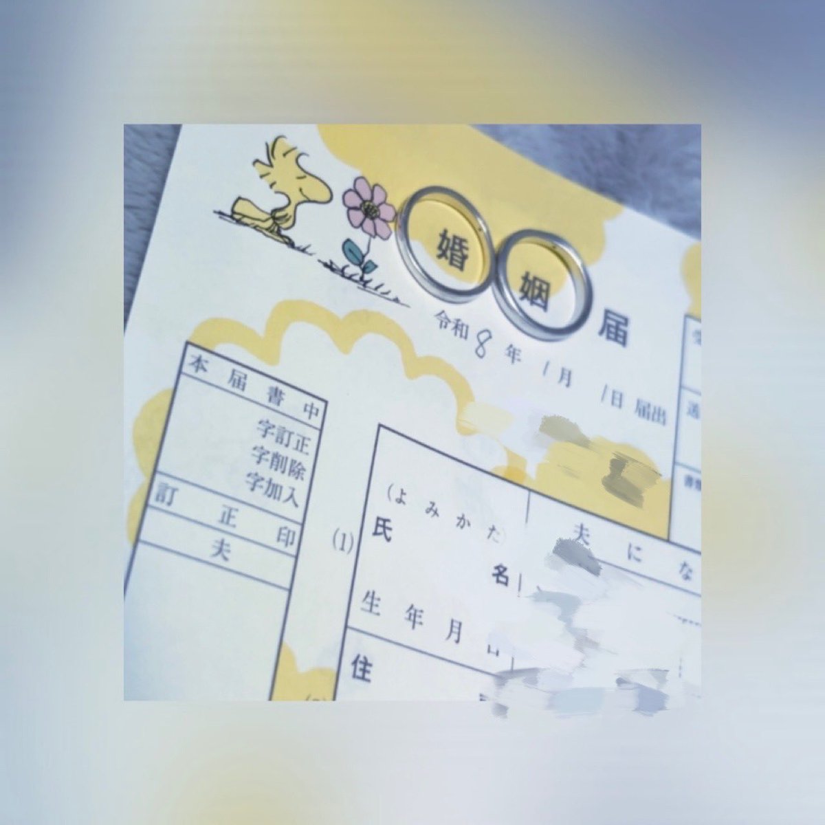 𝓡𝓾𝓻𝓾🐺⸝꙳ tweet media