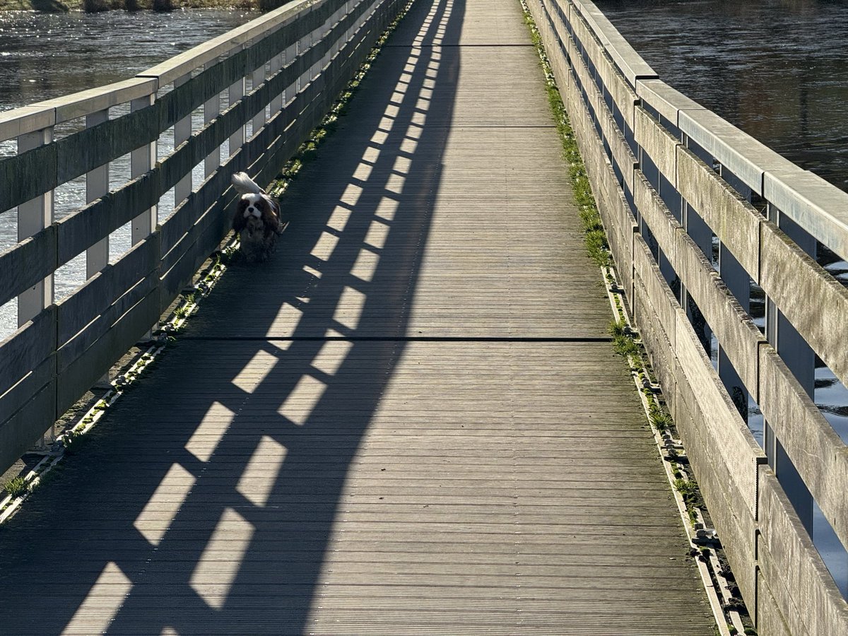 Pascal VIVIER tweet media