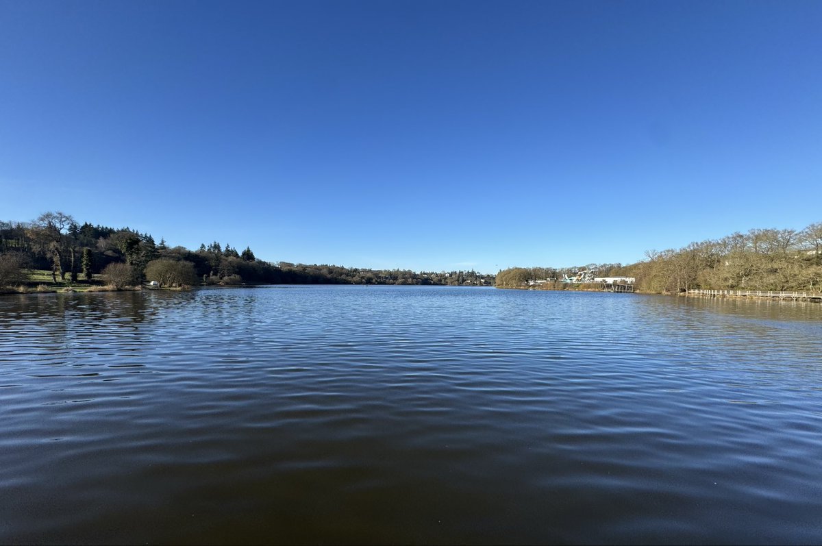 Pascal VIVIER tweet media