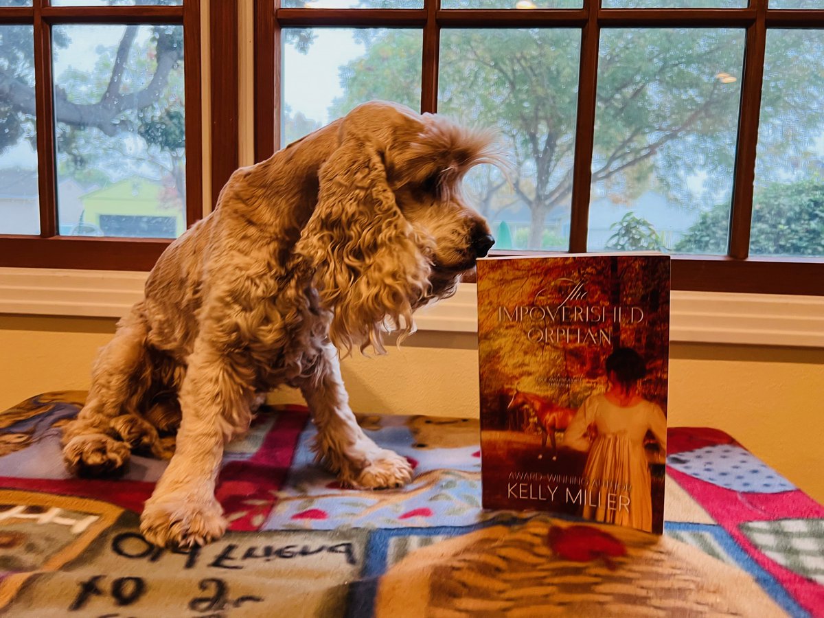 Kelly Miller, Amazon Best-Selling Author 💜🐶🐎 tweet media