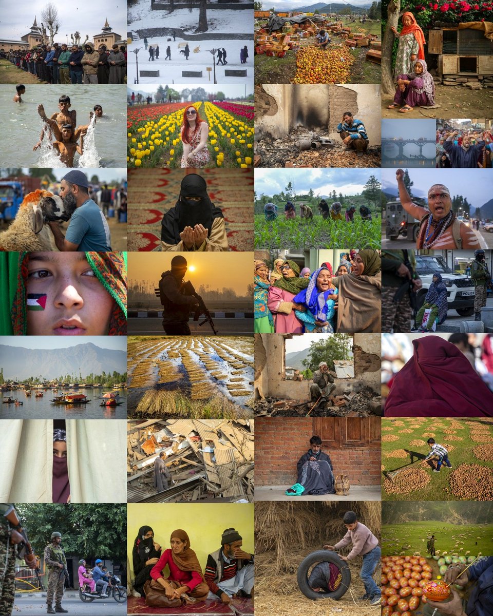 Faisal Bashir tweet media