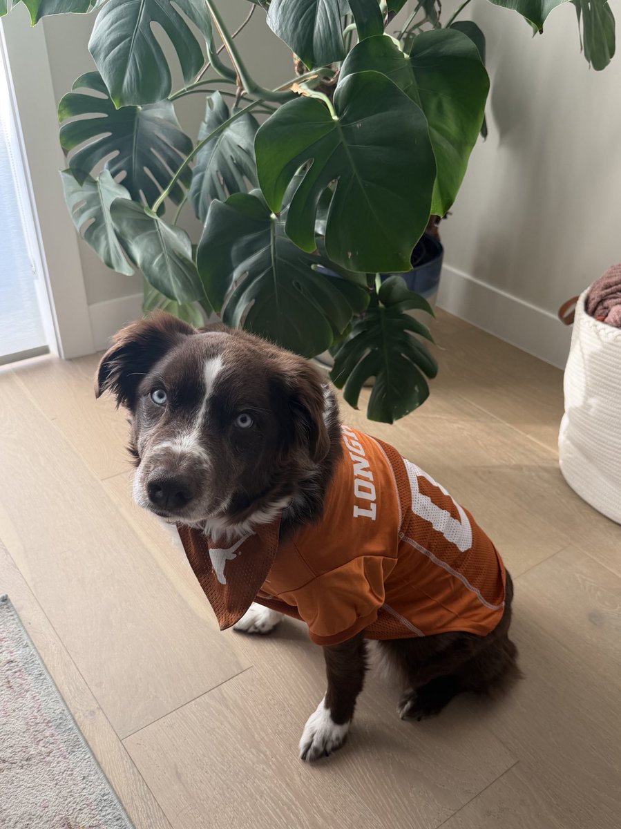 catdaly's tweet photo. happy cheez-it citrus bowl day to all who celebrate https://t.co/iQnEkTHJnb