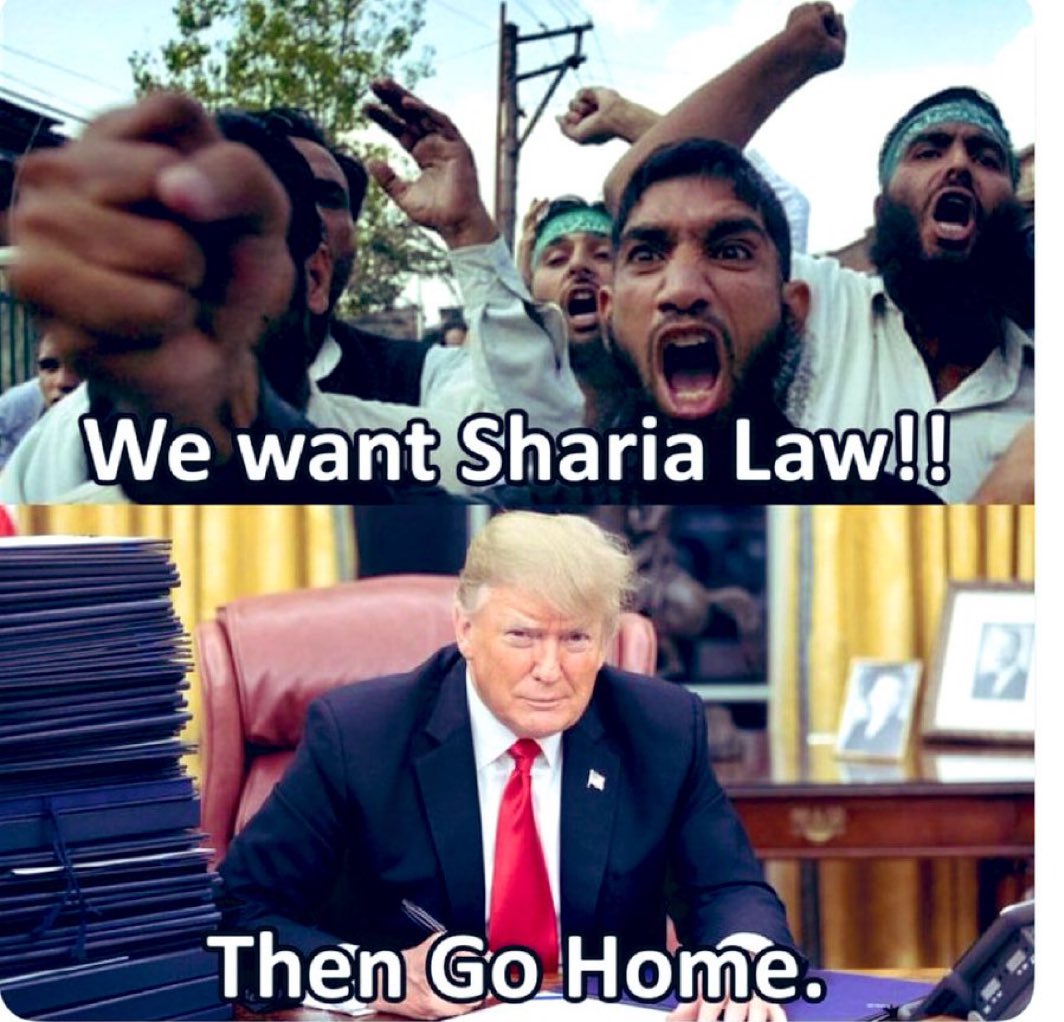 Liza Rosen tweet media