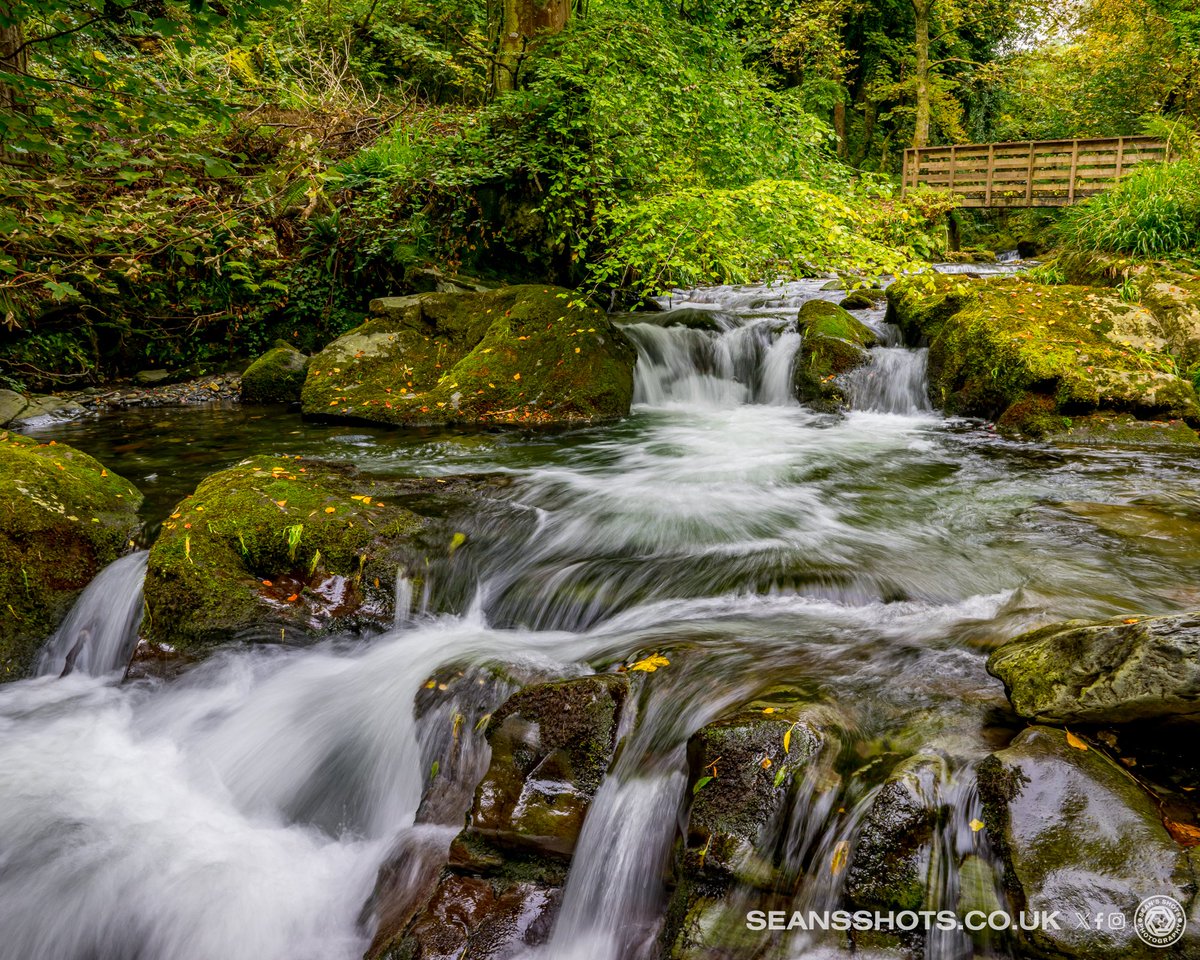 SeansShots tweet media