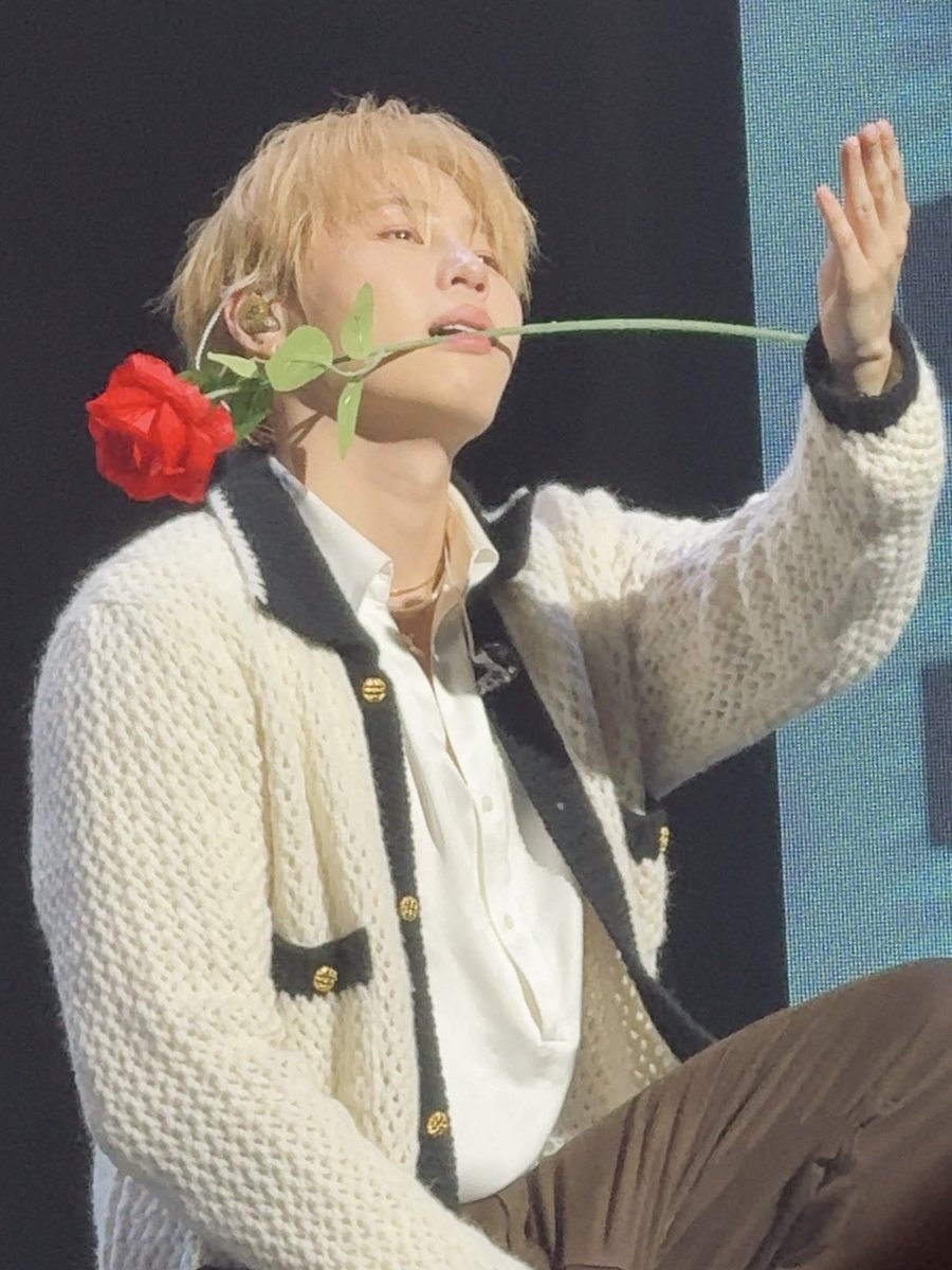 251231 텔더월드

이틀 내내 장미로 사람을 홀려 🌷💗

#하성운 #HASUNGWOON