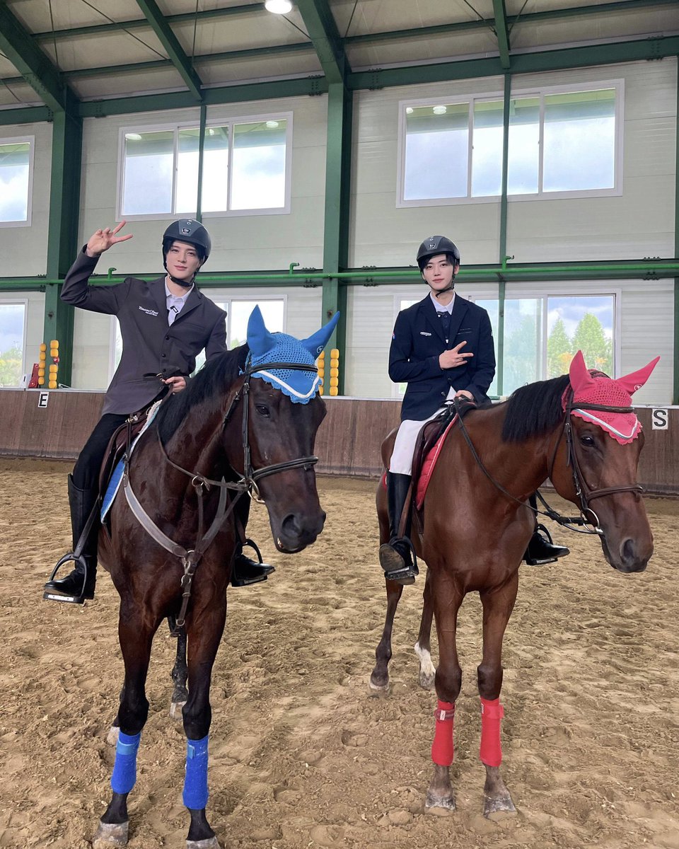 알티하면 복 들어오는 사진