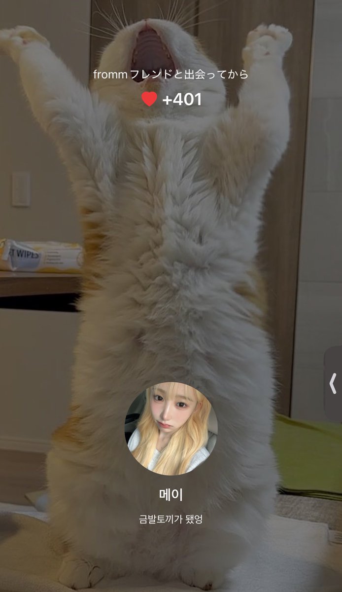 めいちゃんFromm400日超えた🫶