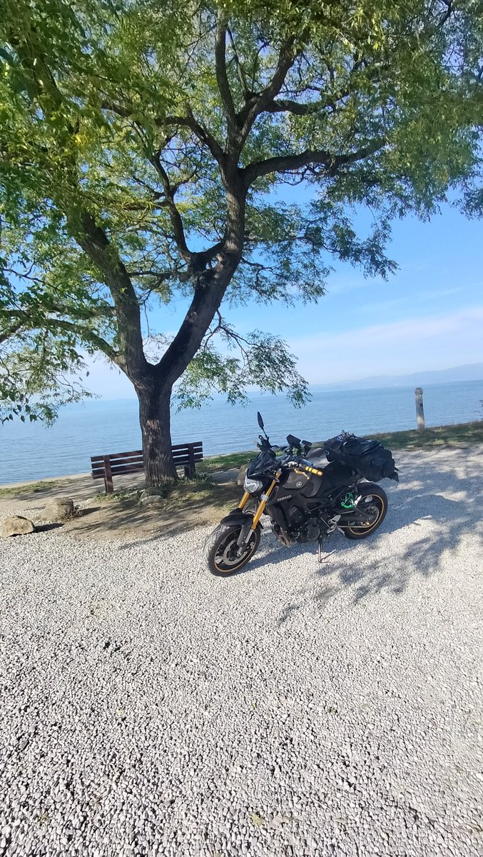 Yossy Level55 (@Yossy00605889) / Posts / X