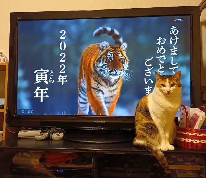 hiro_sna's tweet photo. ちなみに今年の年越しテレビ係りは例年のレモちゃんに替わりすーちゃんでした。 https://t.co/OSLmsaVVOz