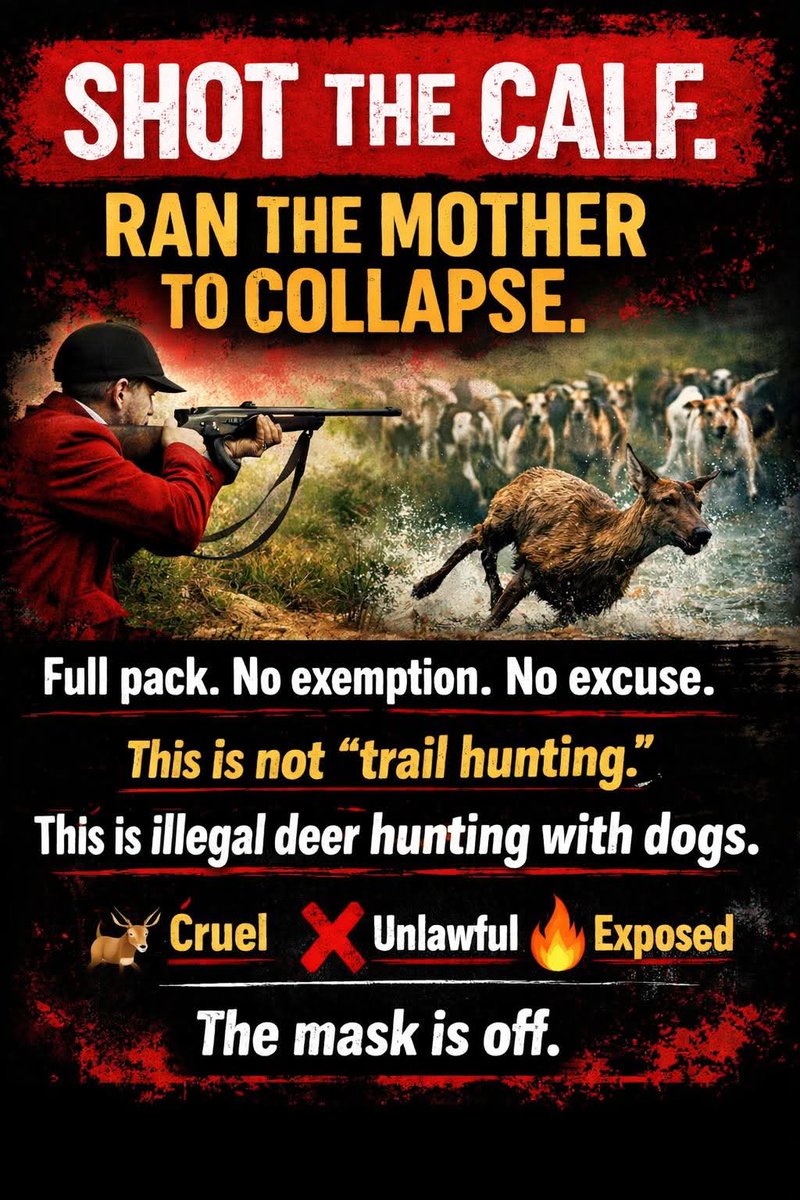 NDHuntSabs's tweet image. Horrible account from the Tiverton Staghounds who recently shot a red deer calf then set the whole pack of dogs to chased the mother to exhaustion before shooting her too. Supporters then complained that the dogs should have been allowed to make the kill facebook.com/share/p/17ij6R…