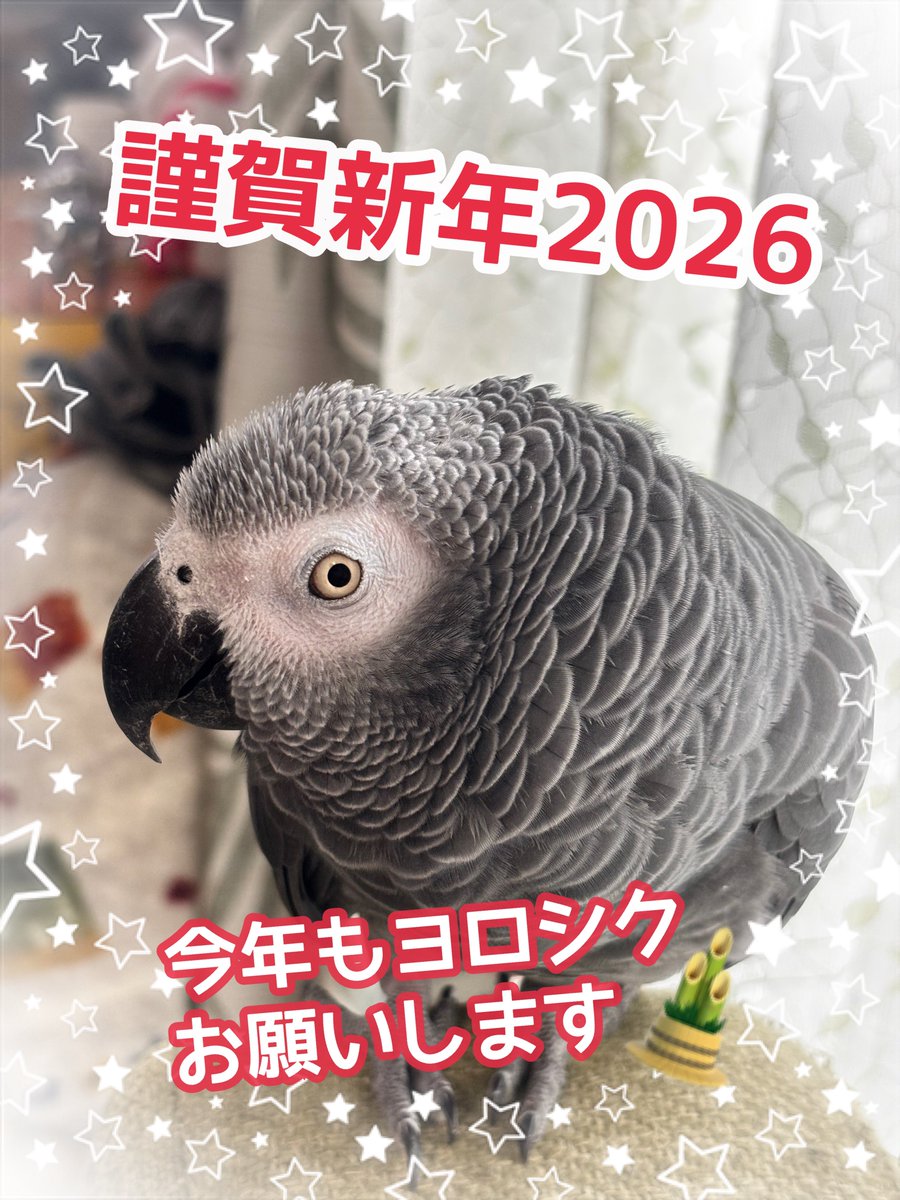 volume04's tweet image. 低浮上ですが、今年も4649お願いします！
#ヨウム