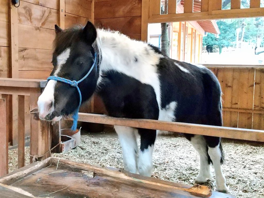 キイ (@kii_221b) / Posts / X