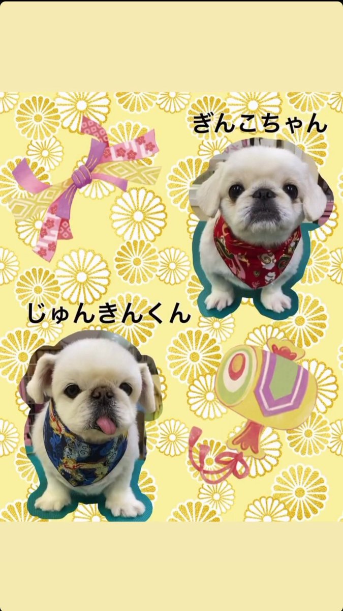 ニコママ (@nichomama) / Posts / X