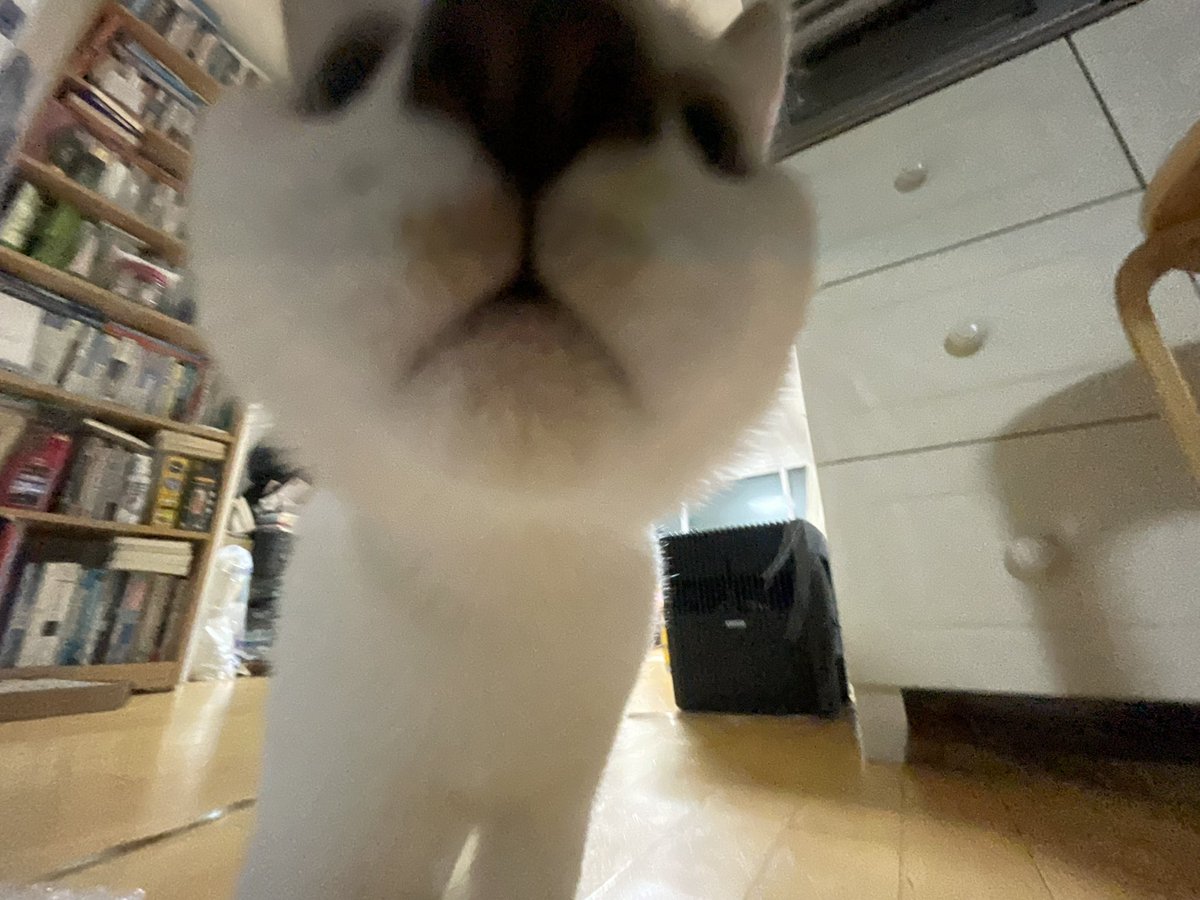 당신은 행운의 강순대와 마주쳤습니다
강순대 새복많
이라고 멘션을 달면 올 한 해가 순탄하고 행복한 일로만 가득합니다