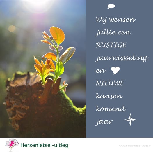hersenletsel uitleg tweet media