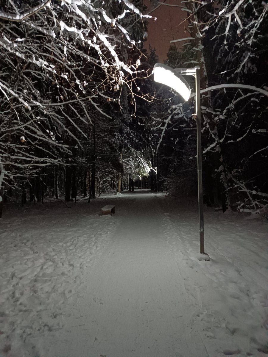 StMedved2's tweet image. Хорошо в лесу