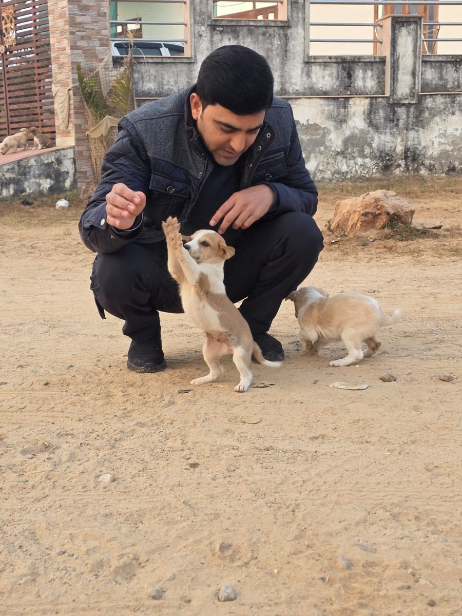 Sanjay Kumar Sain tweet media