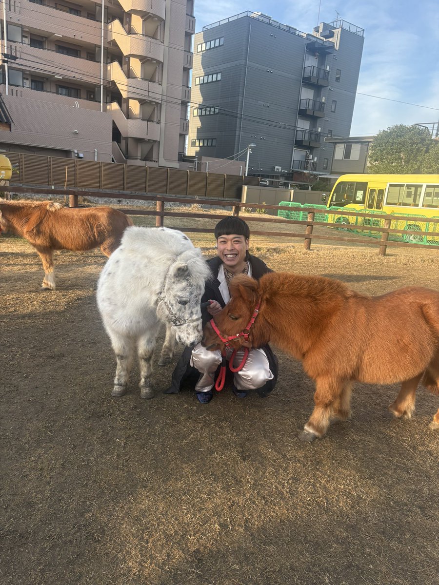 バッテリィズ エース tweet media