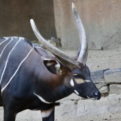 あ 氏 « プロフ更新 » 妄想.JP | ZX14R Ninjaカスタム④