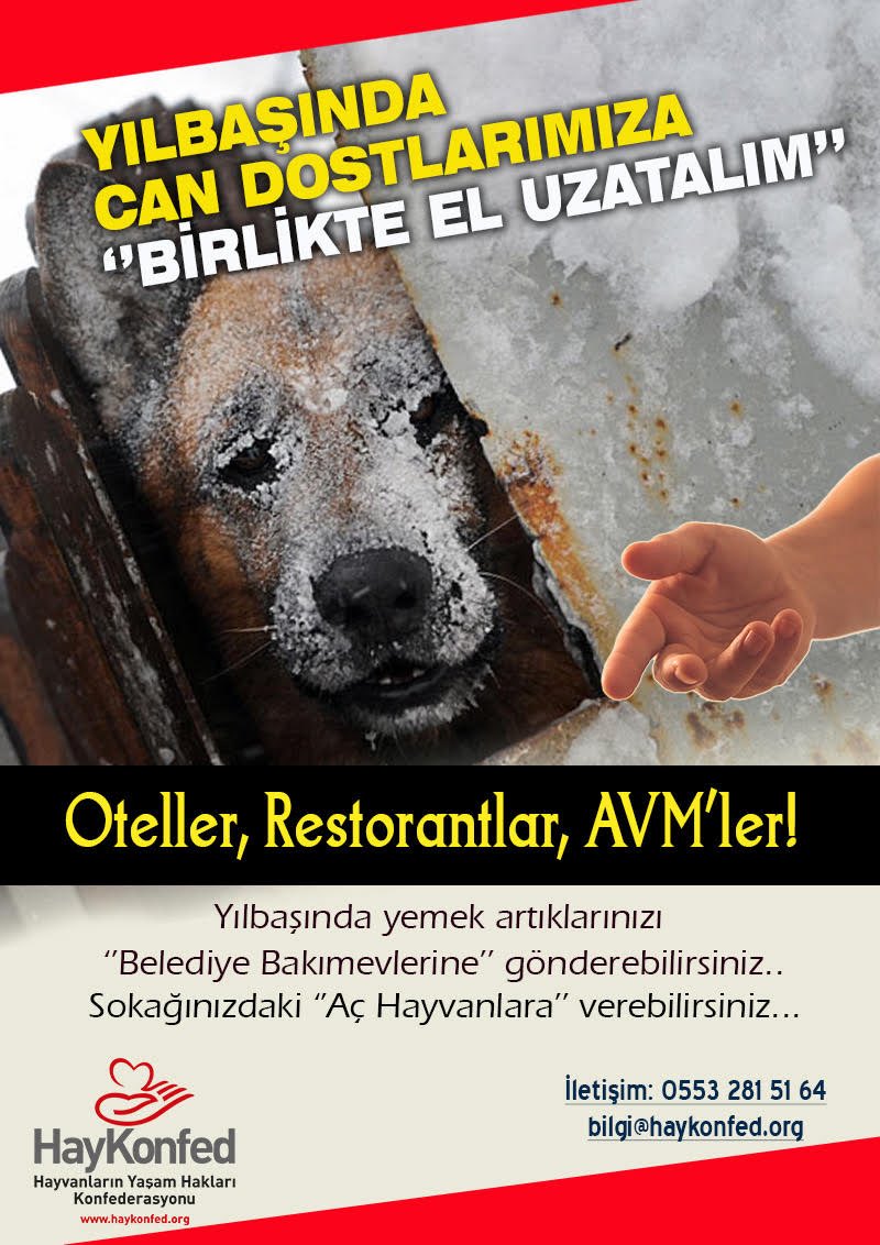 OTELLER, RESTORANLAR ve AVM'ler, Sokaklarda yaşayan sahipsiz hayvanlar aç ve susuz yaşam mücadelesi vermekteler. “Yılbaşı sofralarında artan YEMEKLERİ” sokaklarda açlıkla mücadele eden SAHİPSİZ HAYVANLARA verir misiniz?