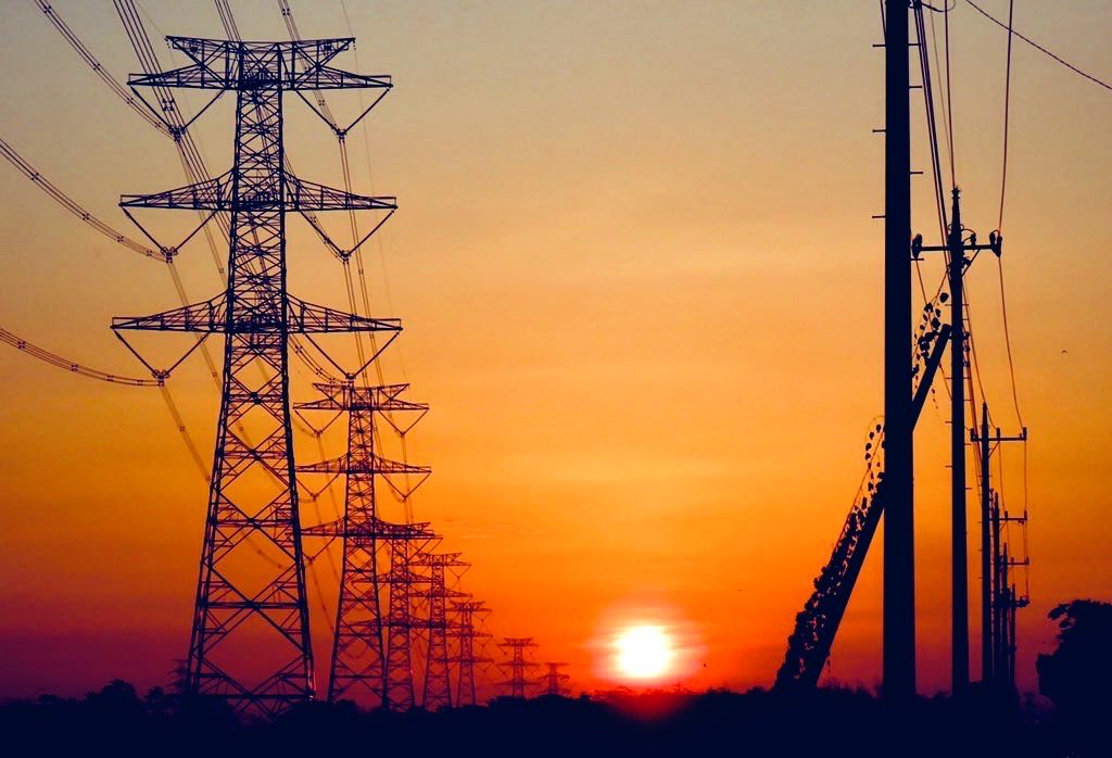 92(^ω^) tweet media