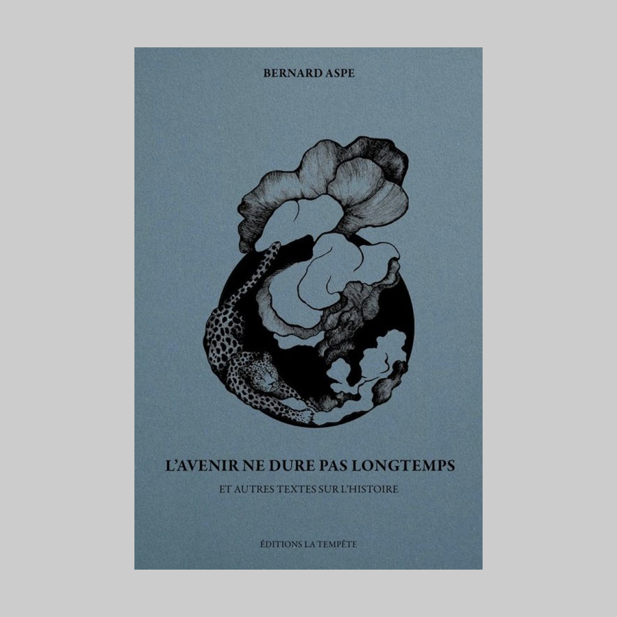 Hobo Diffusion tweet media