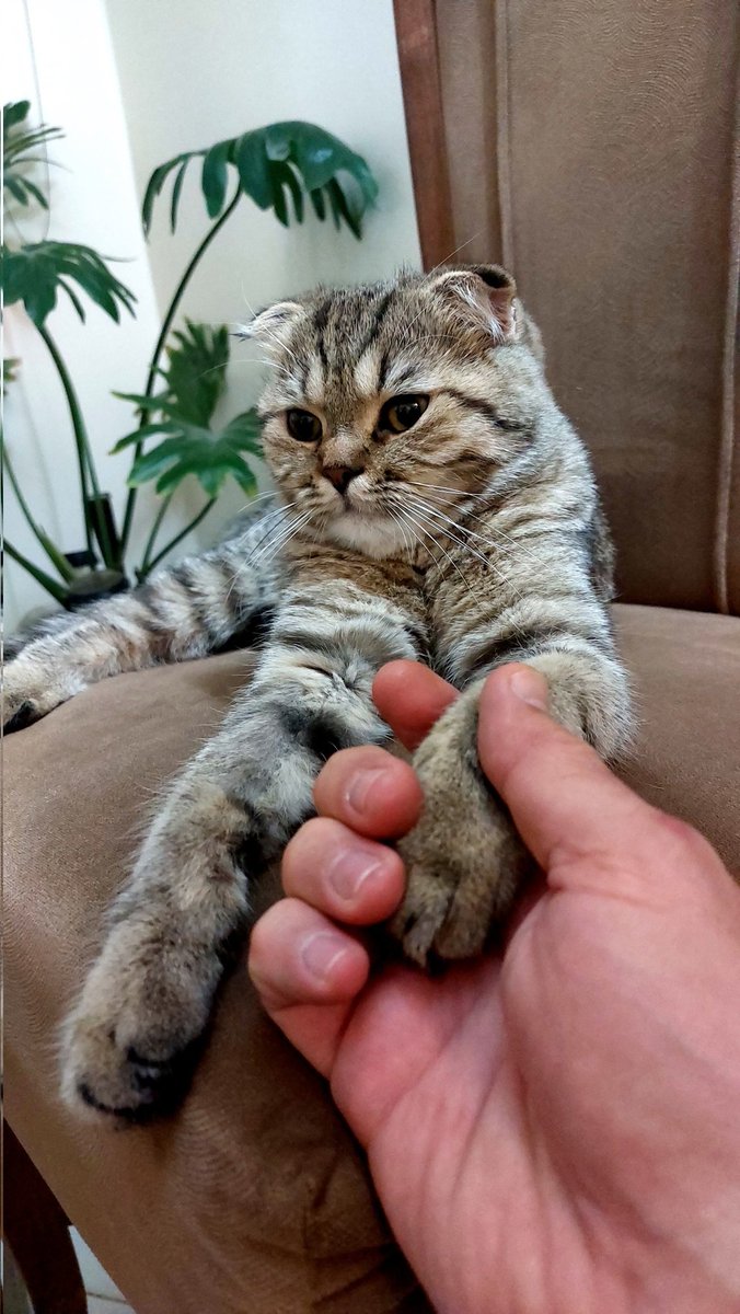 02:14 am tweet media