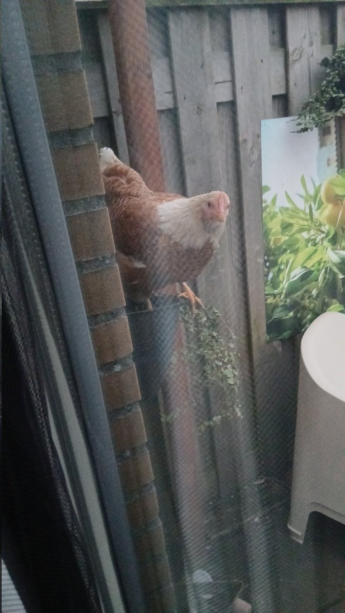 #PositiveTribe🌍- Jurgen tweet media