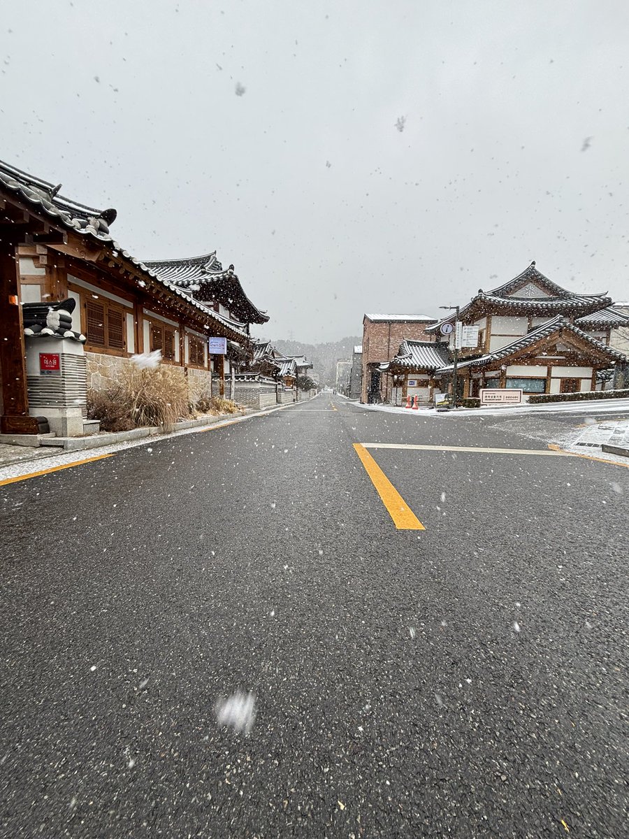 Falco_gr's tweet image. سنتي 2025 🌟🤍 
الحمدلله