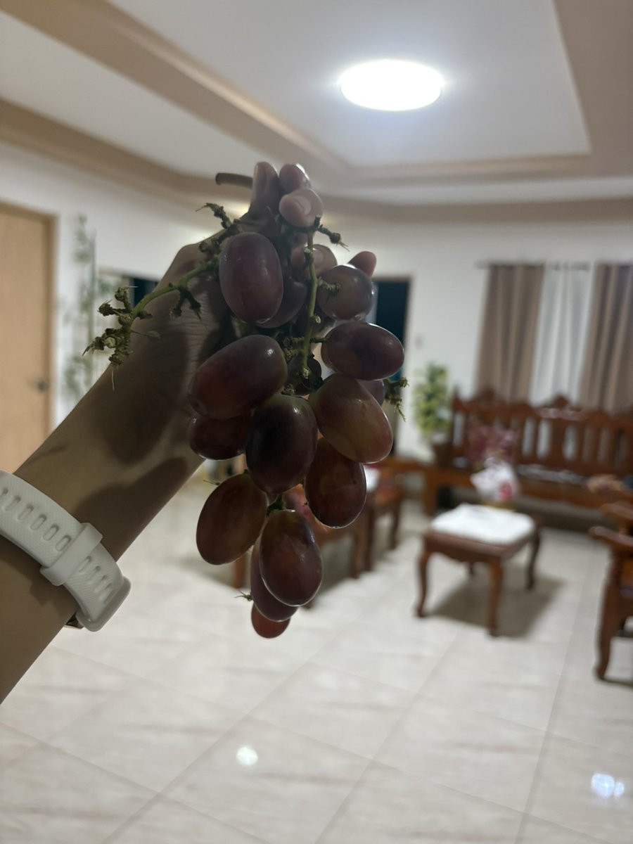 teamcapkrysofc_'s tweet image. 12 grapes for BBS KRYSTAL