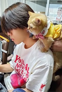 n0rn0r____'s tweet image. เก้อเกาะไหล่ดูพิ่ตุ้ย ส่วนอ้อนจ้องพิ่ตุ้ยขับรถ
อ่ยน่ารักจังงง🥺🤏🏻✨