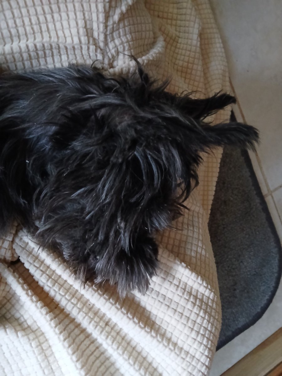 Russ Kane tweet media