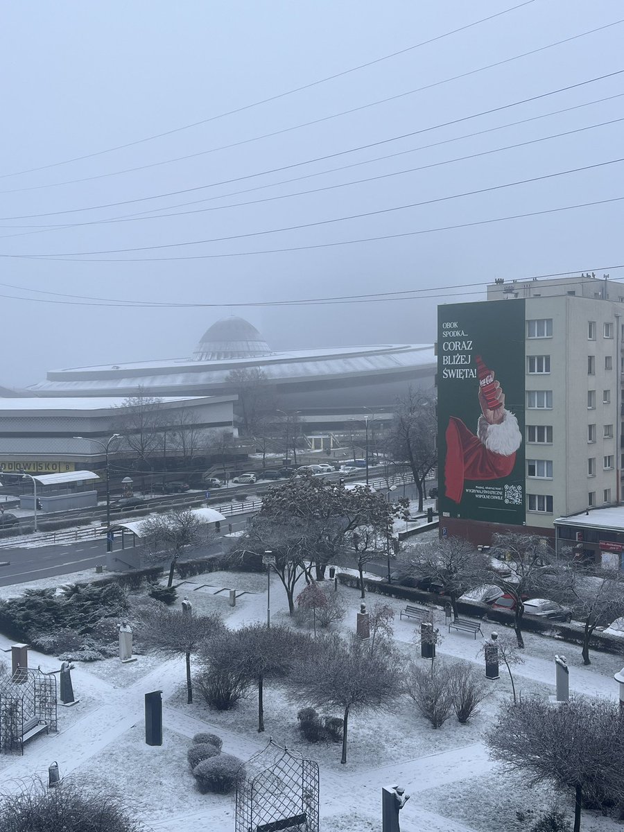 Catriona Von Beuthen tweet media